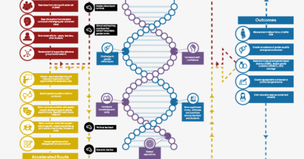 Routes to gender norm change through education Align Platform